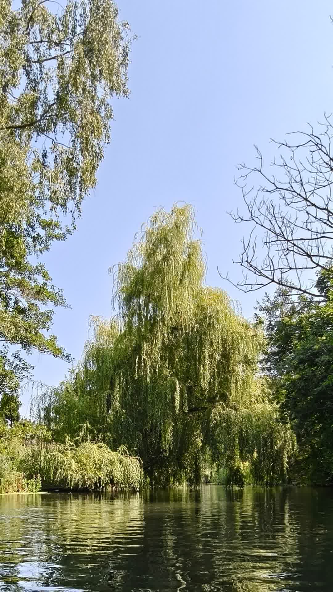 Kajak Foto